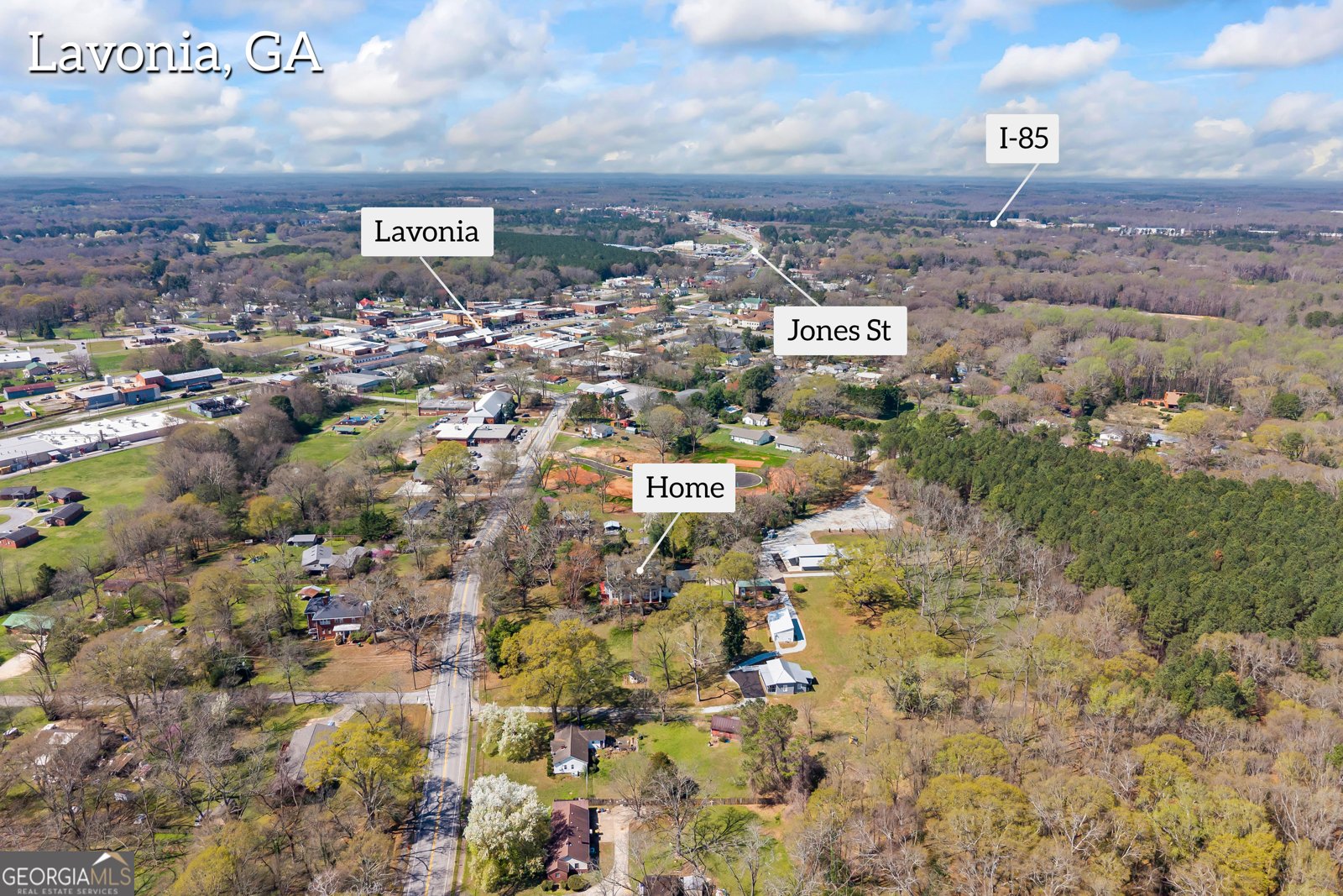 215 Hartwell Road Lavonia - Photo 69