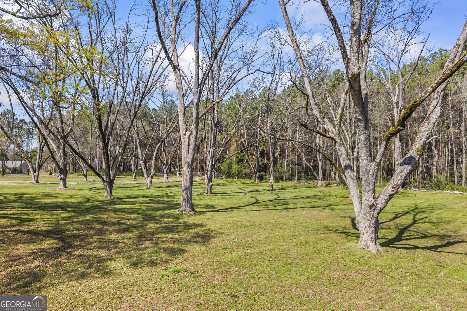 215 Hartwell Road Lavonia - Photo 82