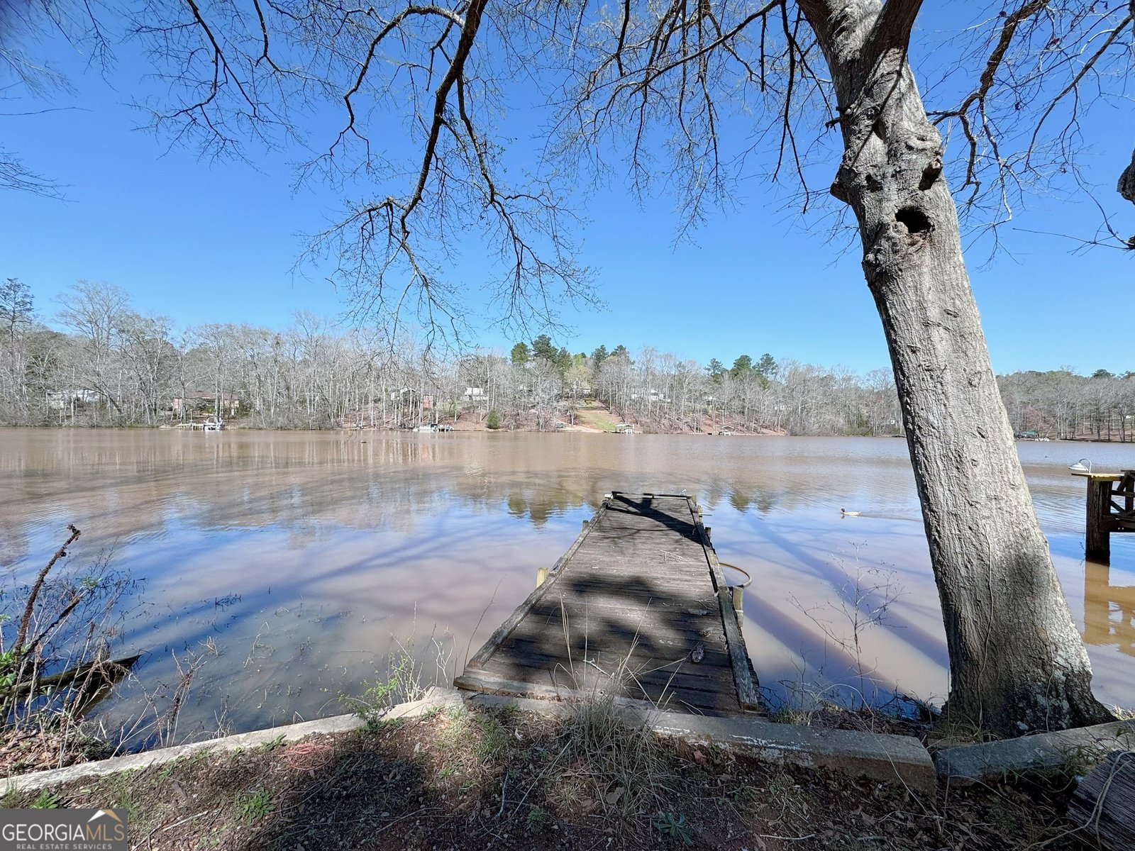 122 Lakeside Circle Jackson - Photo 11