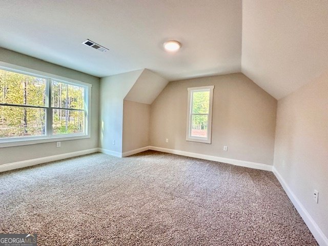 311 Mourning Court LaGrange - Photo 20