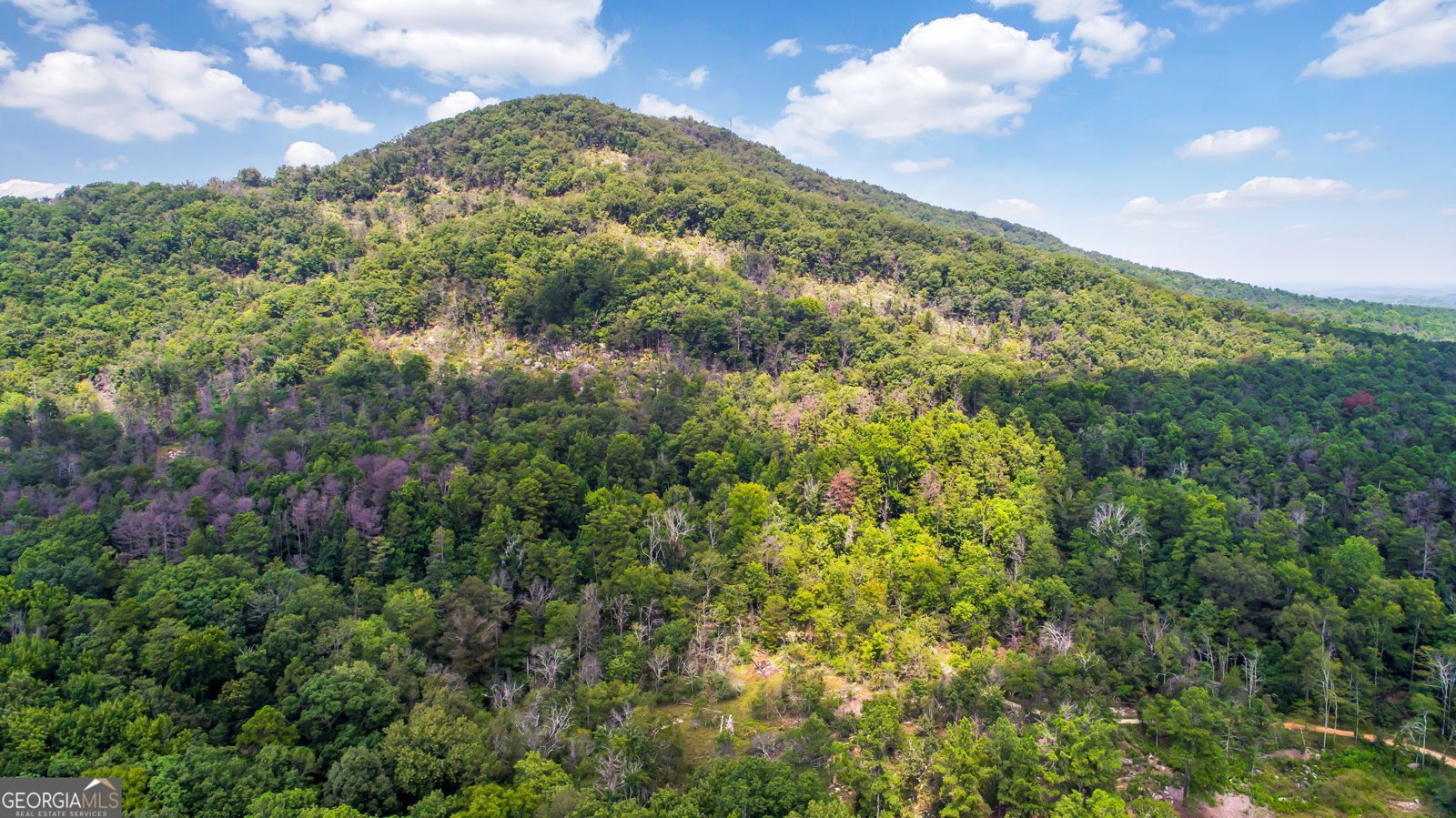 1233 Parkview Lane Kennesaw - Photo 60