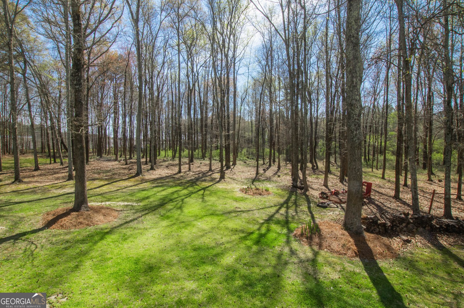 2669 Bay Ridge Drive Loganville - Photo 51