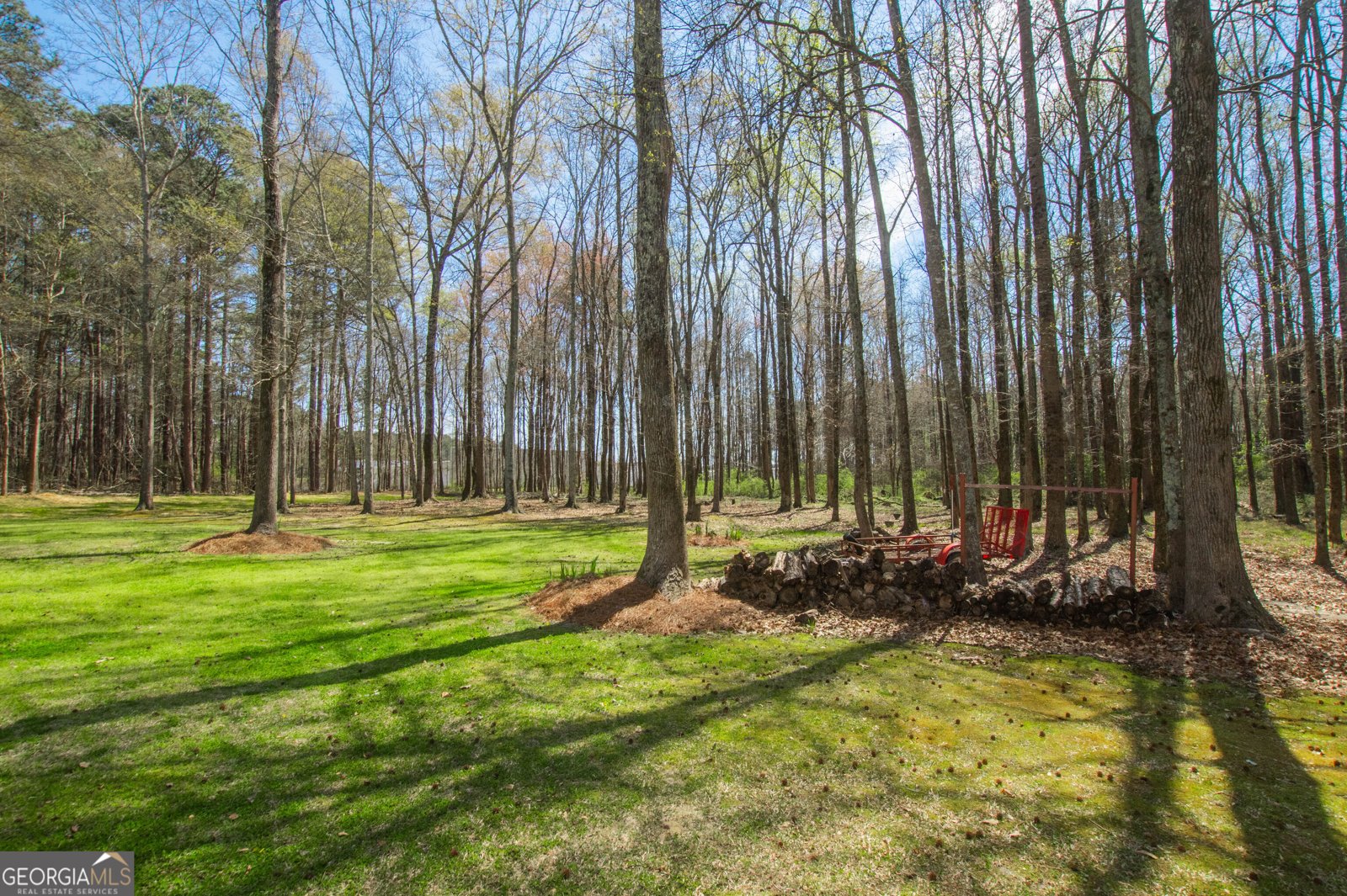 2669 Bay Ridge Drive Loganville - Photo 52