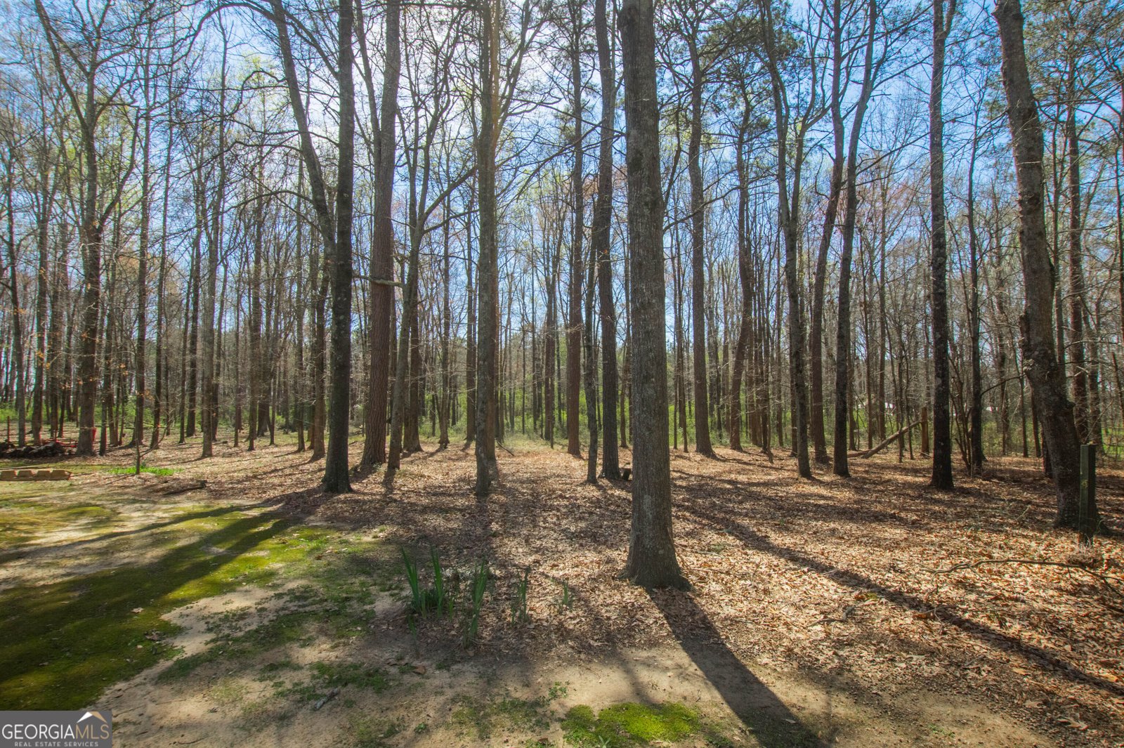 2669 Bay Ridge Drive Loganville - Photo 53