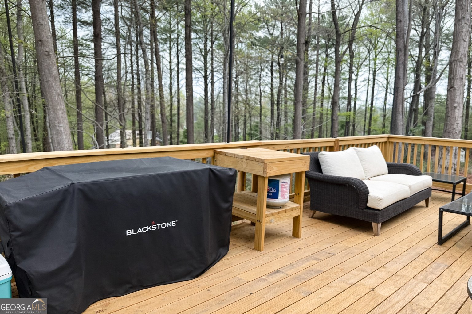 3045 Hitt Road Cumming - Photo 43