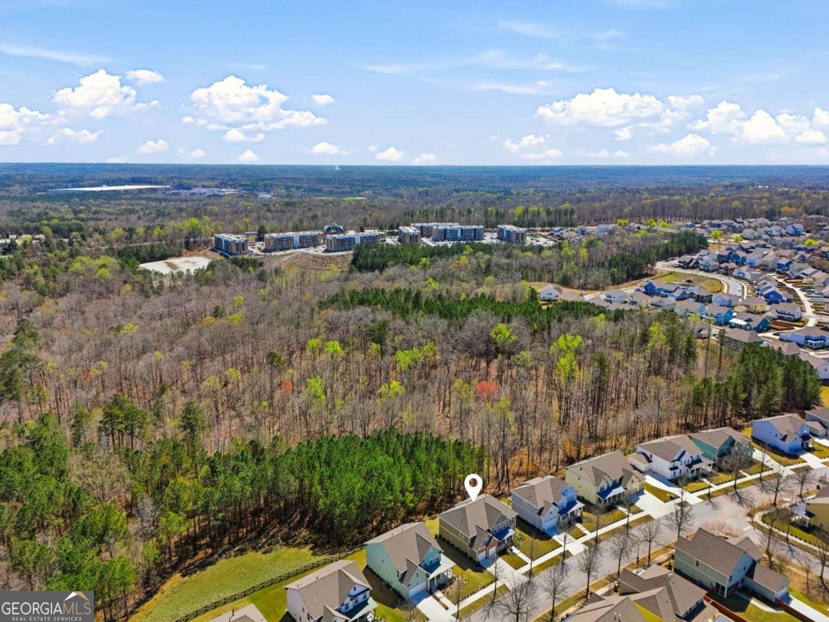 9872 Ashton Old Road Douglasville - Photo 49