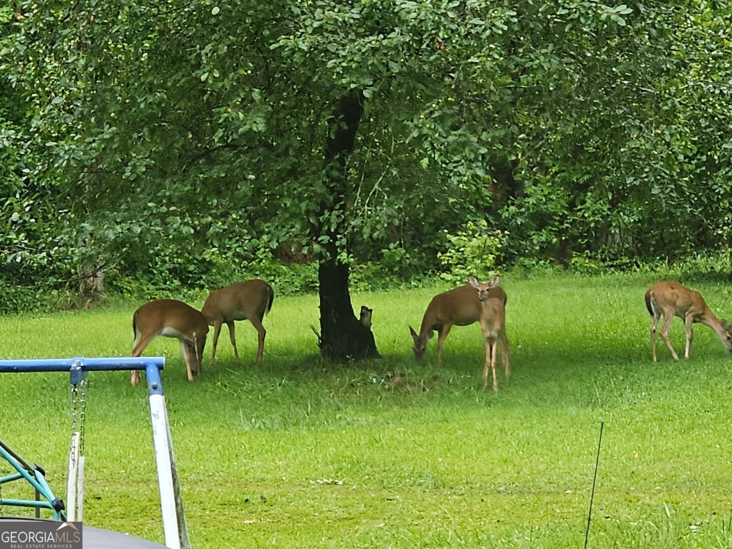 3096 Campground Road Winston - Photo 23