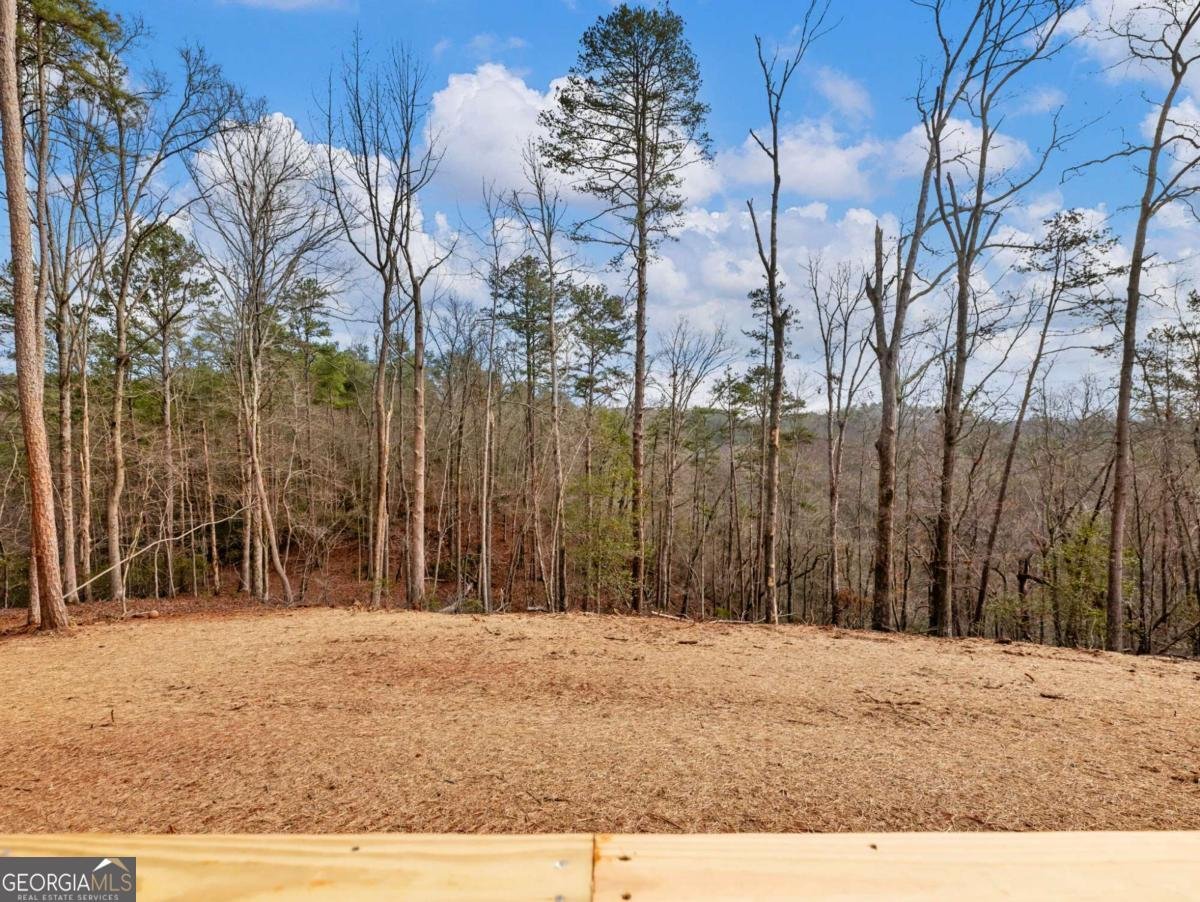 7668 Pea Ridge Road Lula - Photo 33