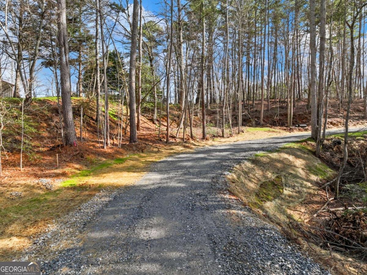 7668 Pea Ridge Road Lula - Photo 37