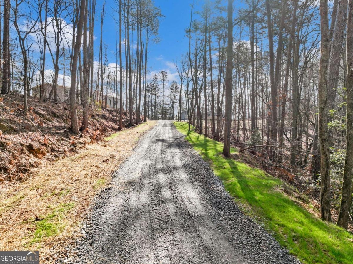 7668 Pea Ridge Road Lula - Photo 38