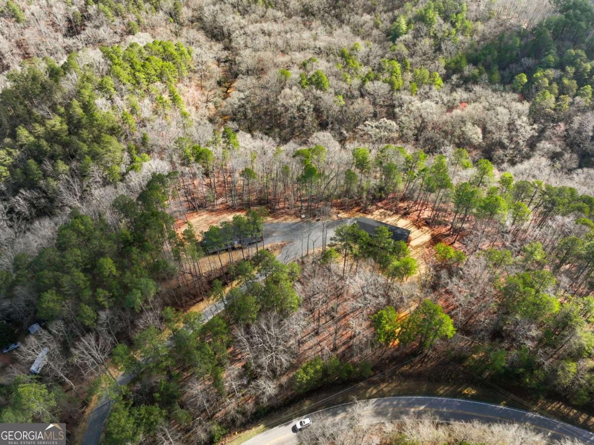 7668 Pea Ridge Road Lula - Photo 39