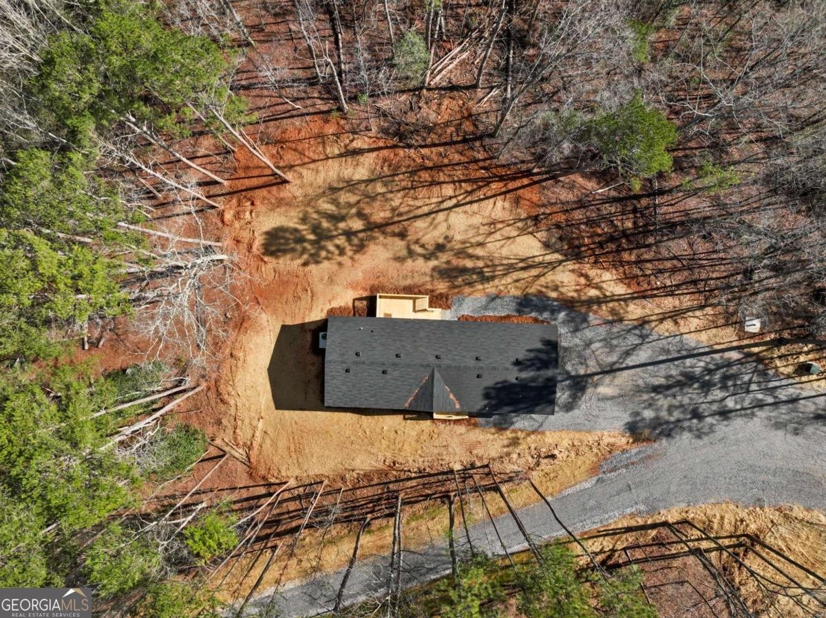 7668 Pea Ridge Road Lula - Photo 40