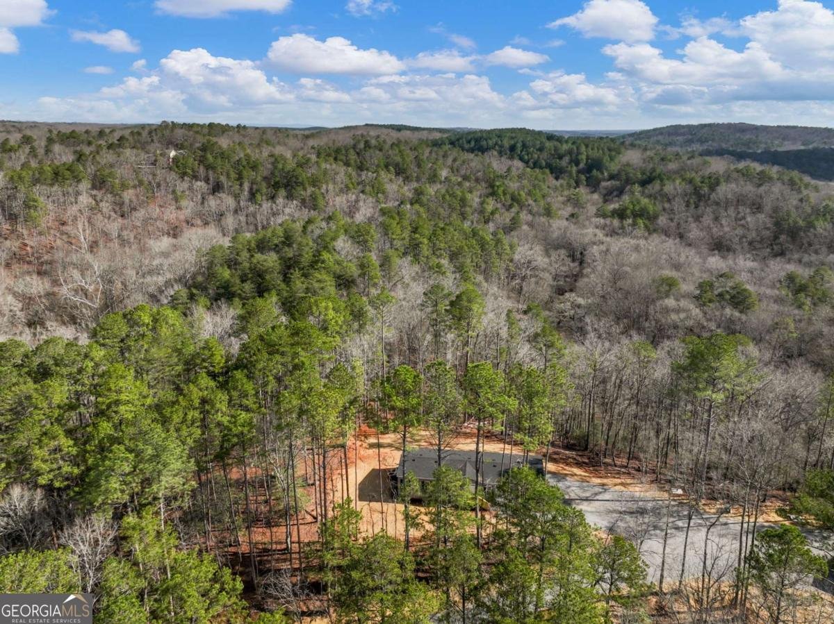 7668 Pea Ridge Road Lula - Photo 41