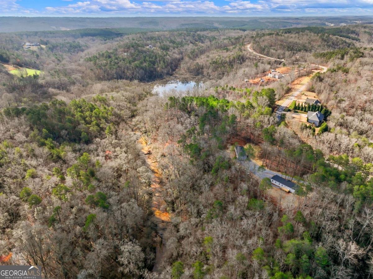 7668 Pea Ridge Road Lula - Photo 42