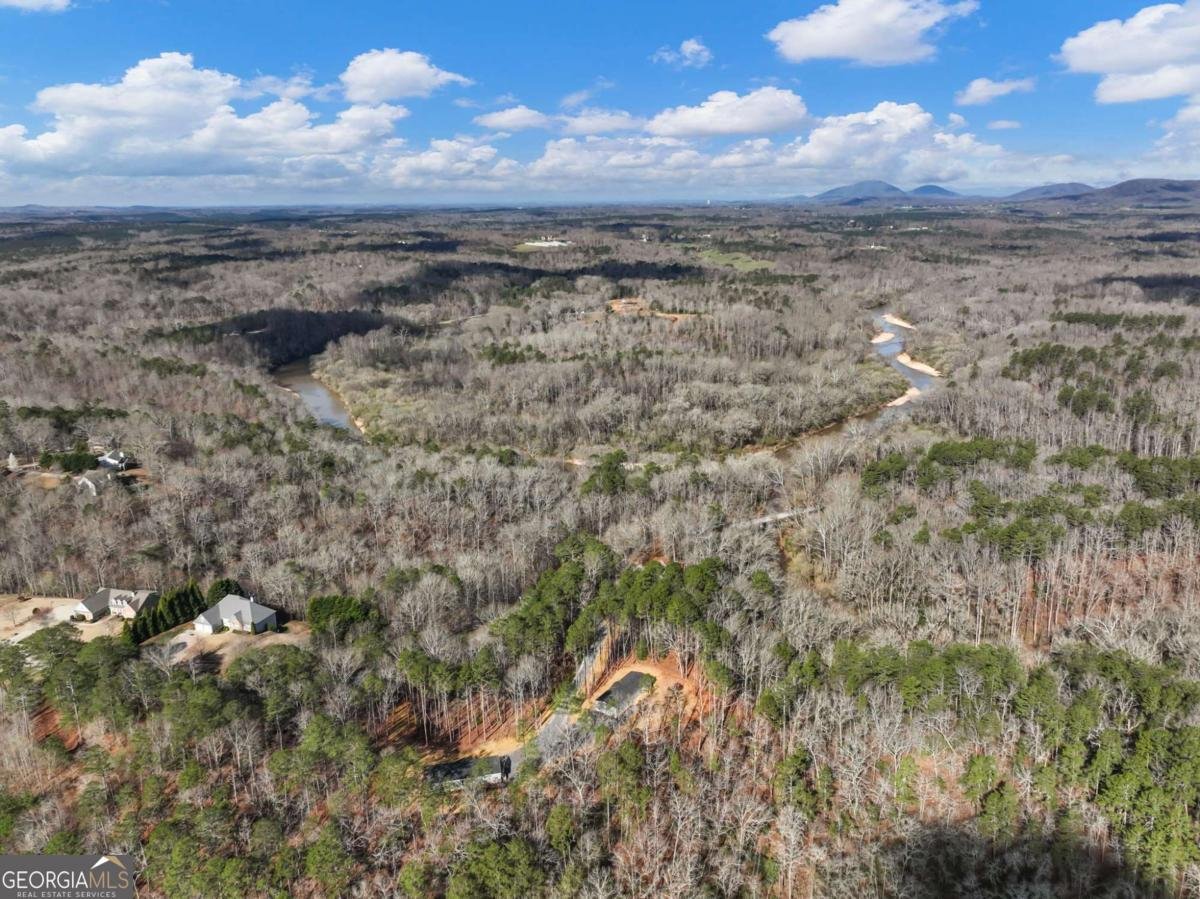 7668 Pea Ridge Road Lula - Photo 43