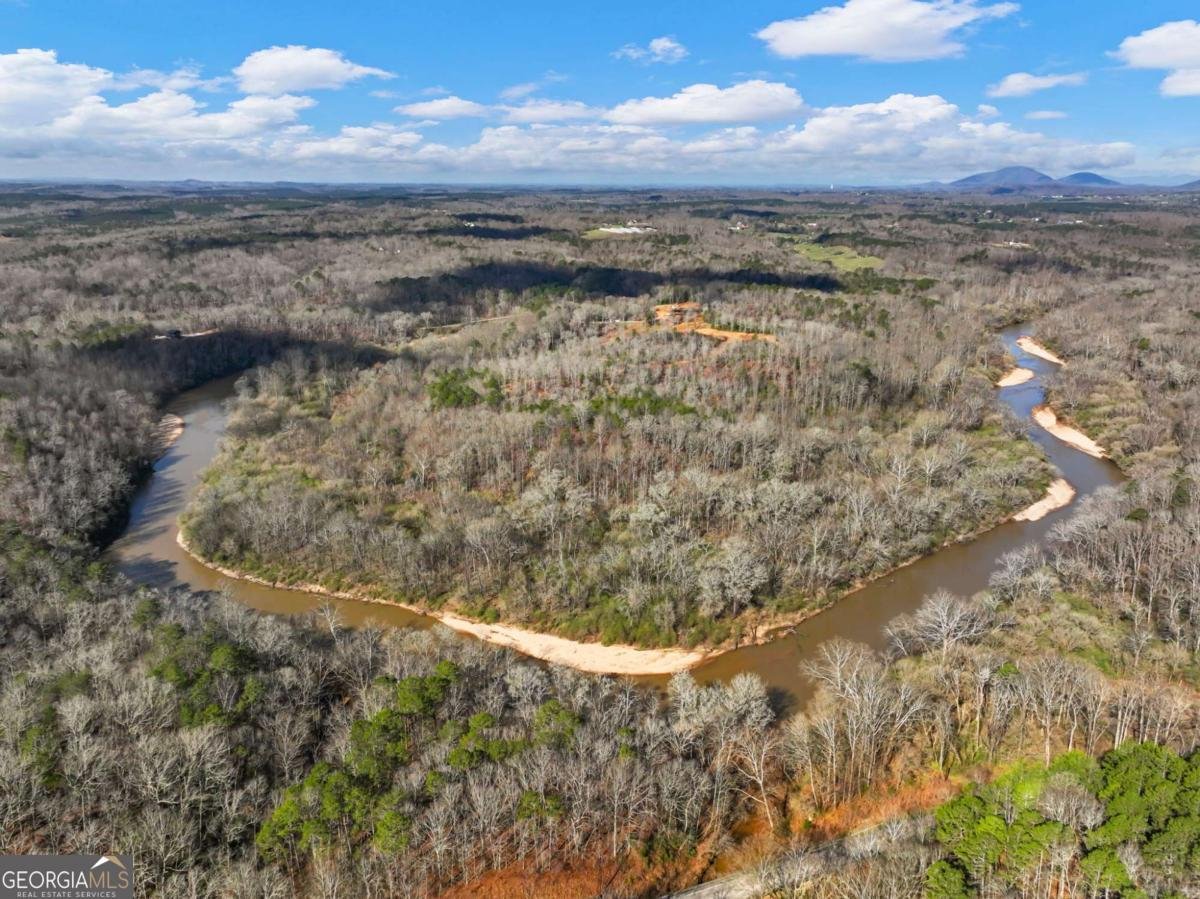 7668 Pea Ridge Road Lula - Photo 44