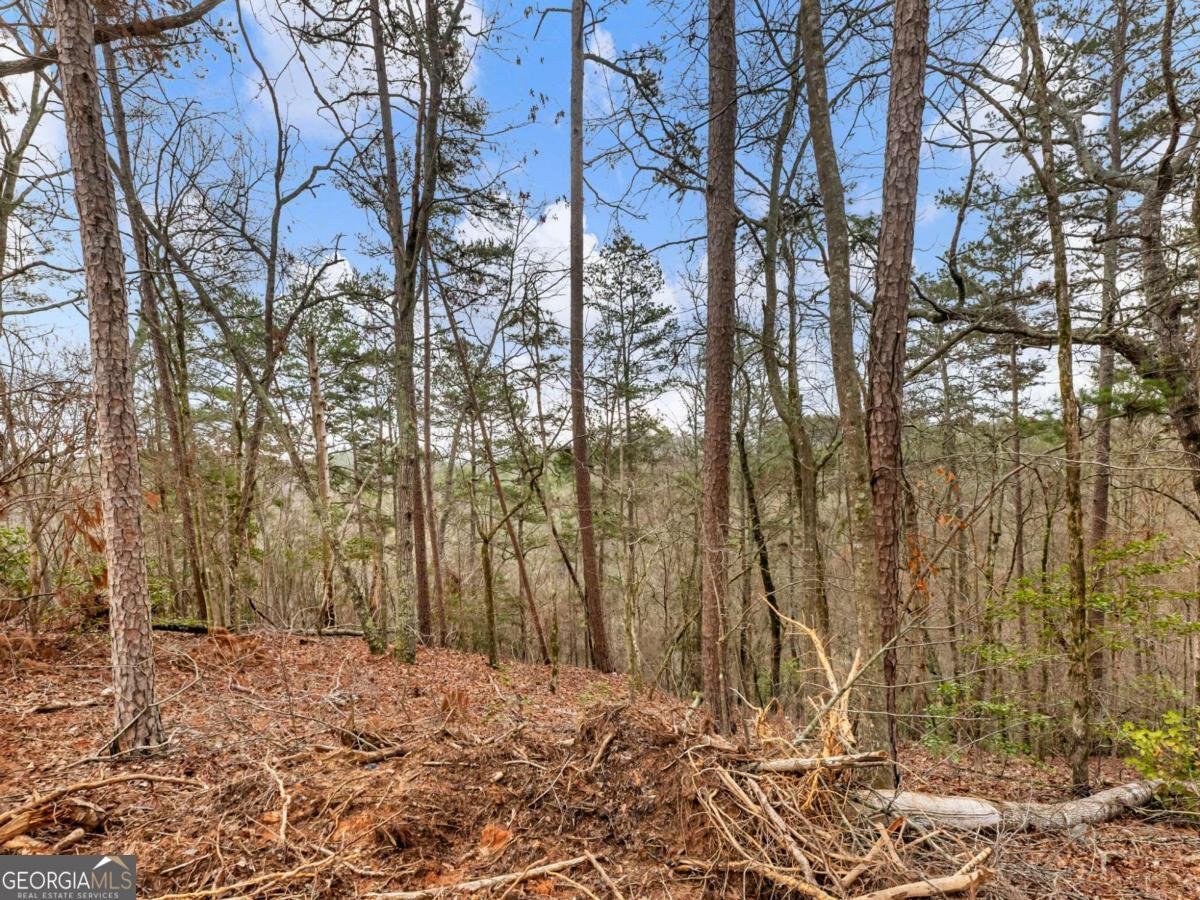 7676 Pea Ridge Road Lula - Photo 32