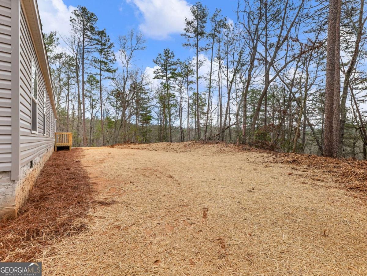 7676 Pea Ridge Road Lula - Photo 35