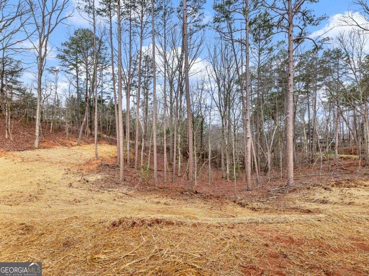 7676 Pea Ridge Road Lula - Photo 36