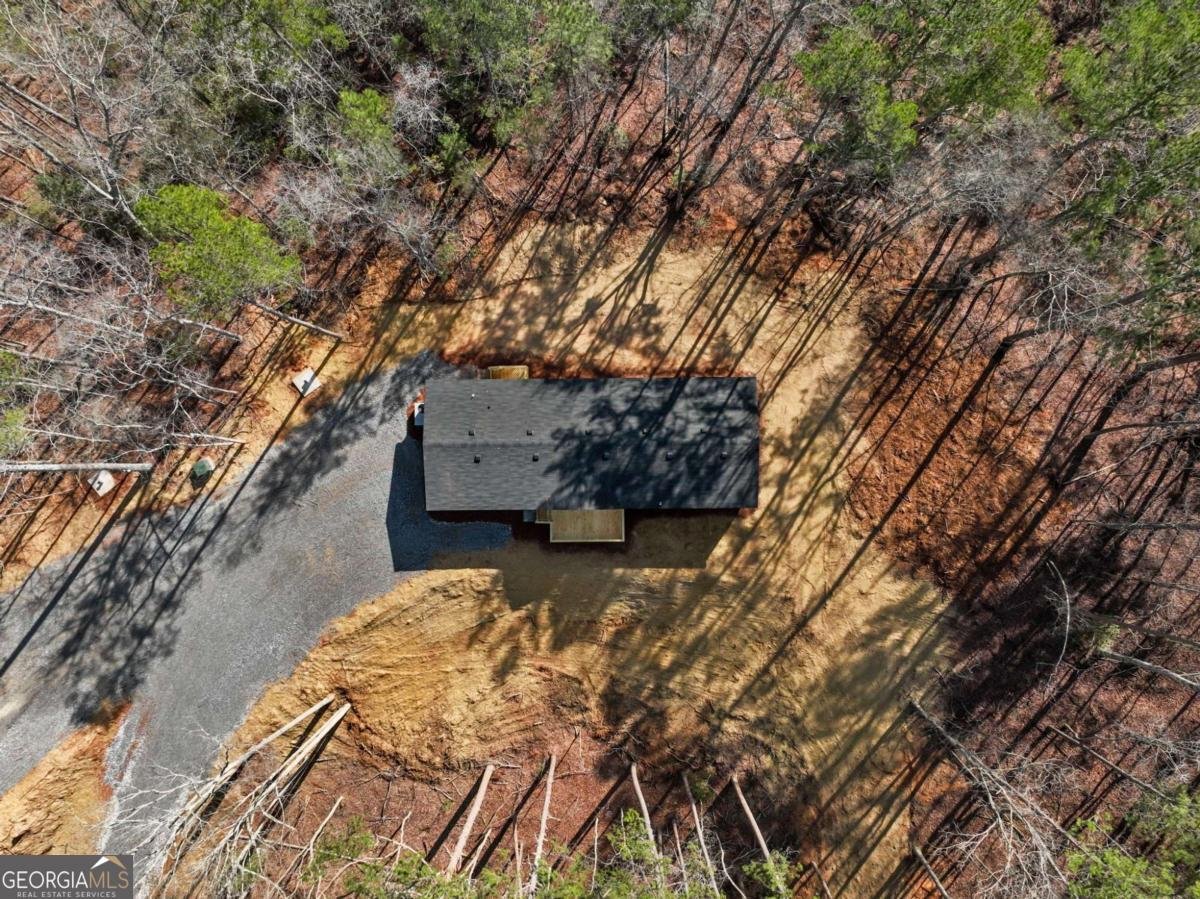 7676 Pea Ridge Road Lula - Photo 39