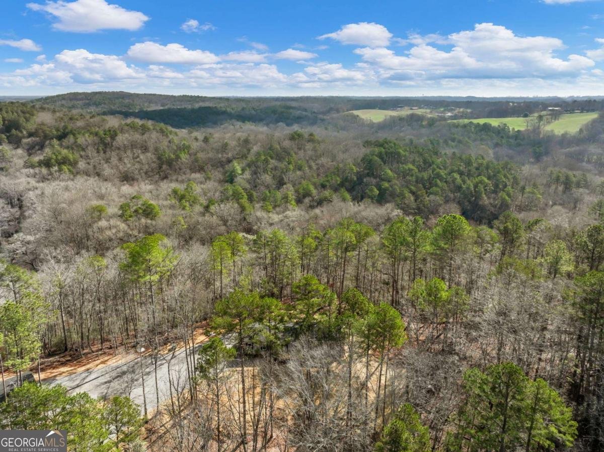 7676 Pea Ridge Road Lula - Photo 40