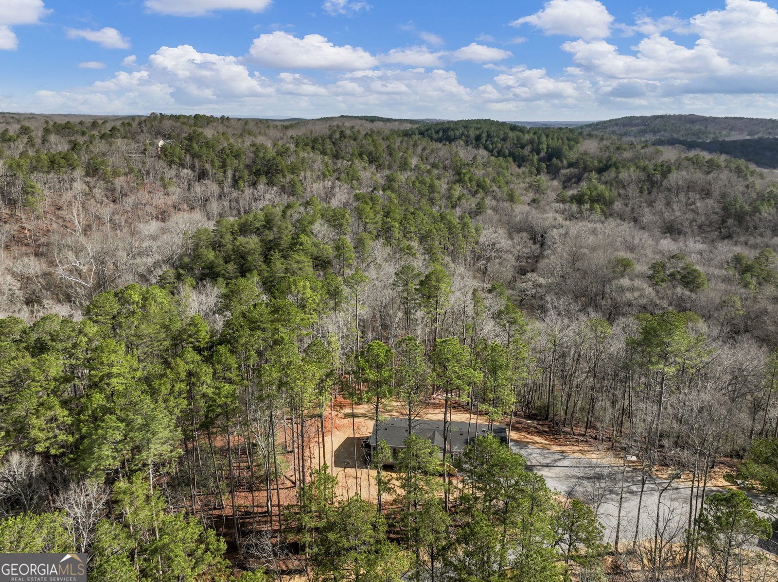 7676 Pea Ridge Road Lula - Photo 41