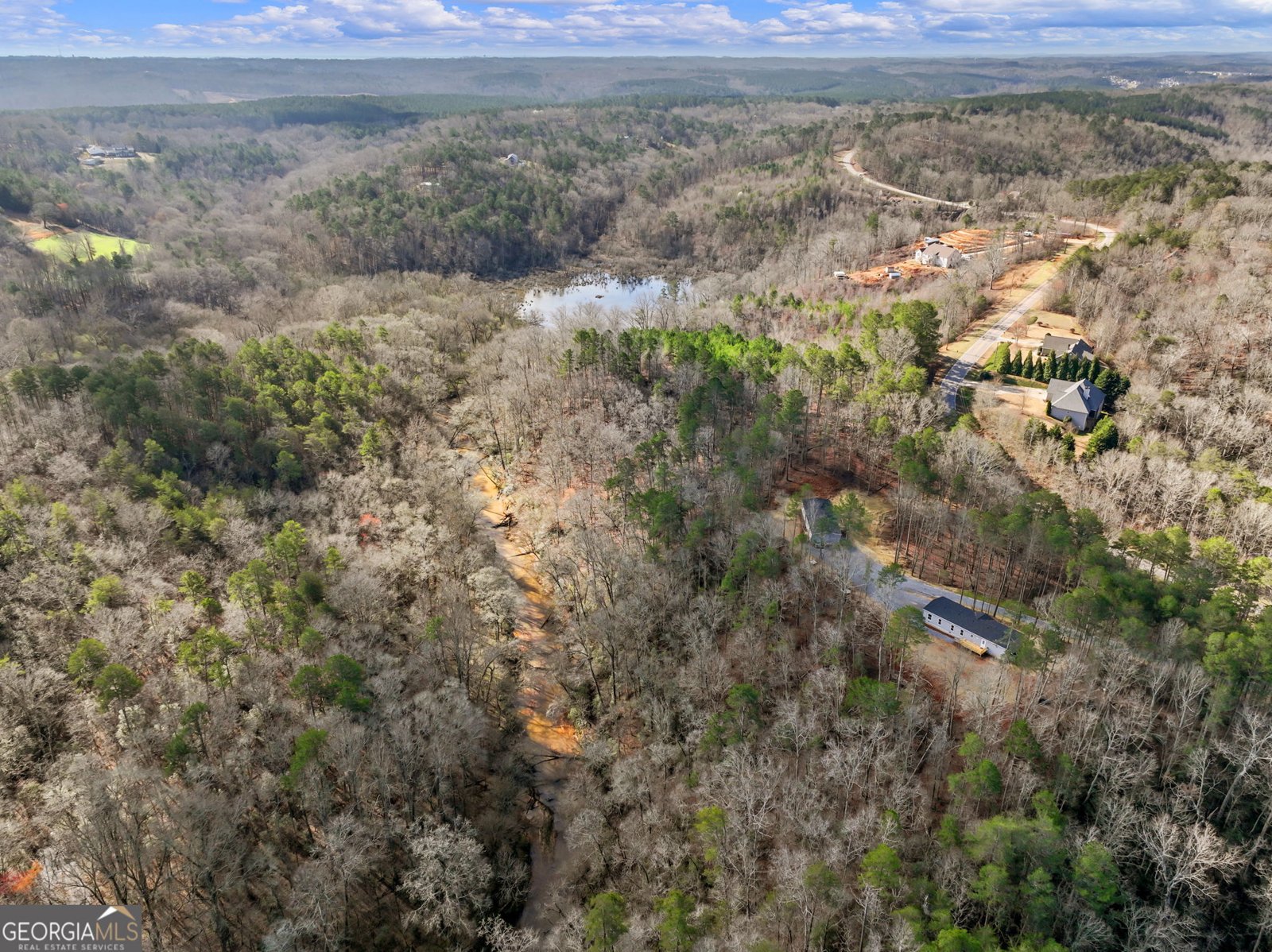 7676 Pea Ridge Road Lula - Photo 42