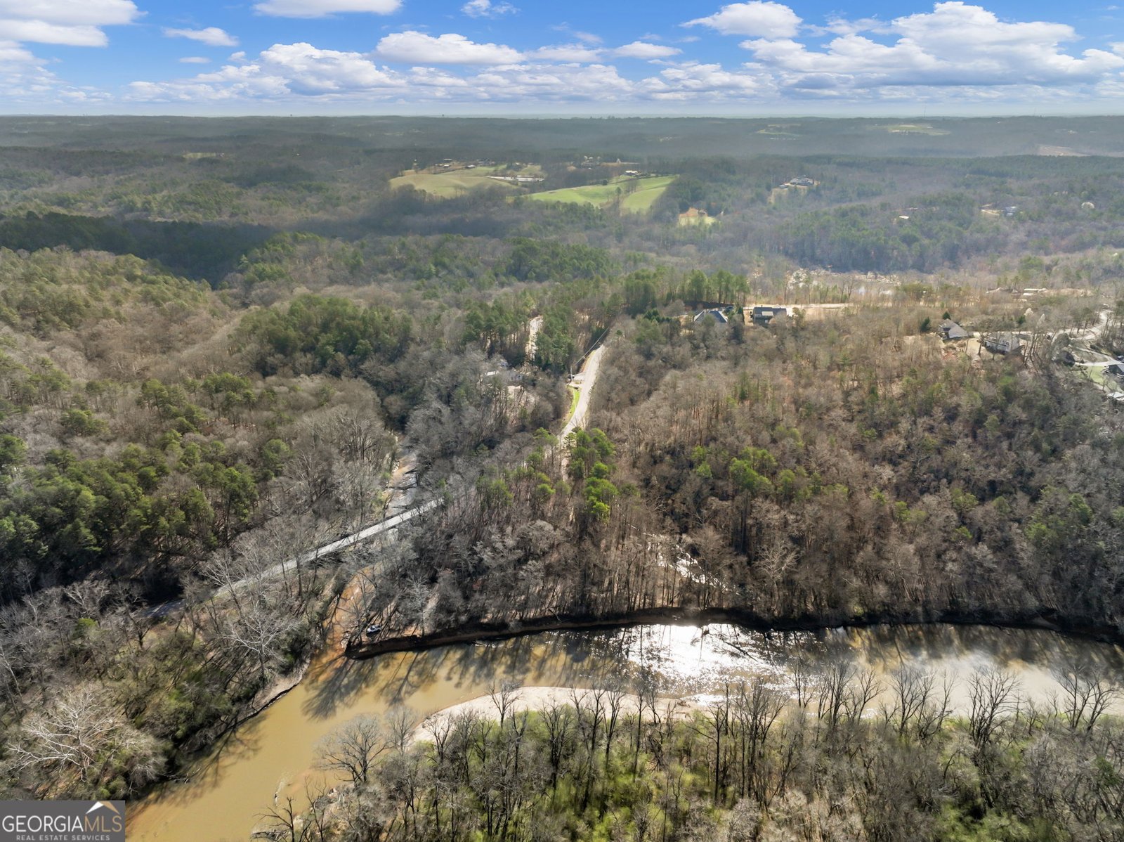 7676 Pea Ridge Road Lula - Photo 45