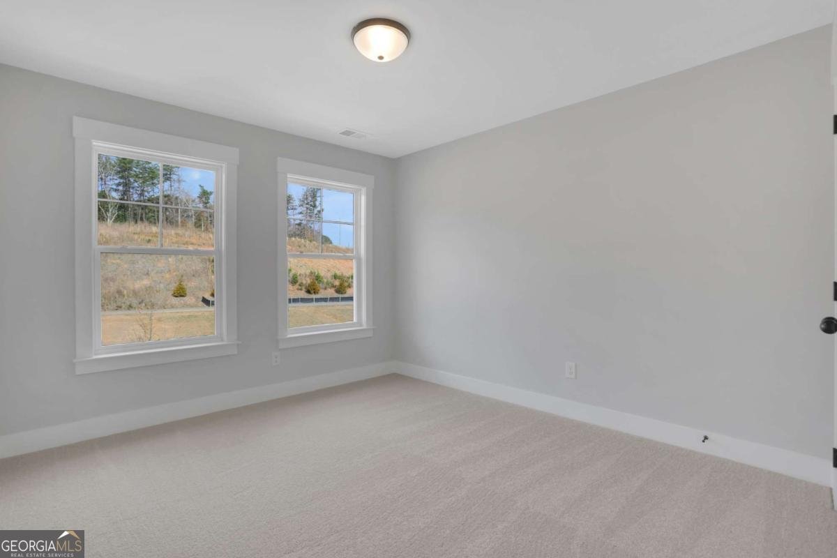 162 Marble Tree Way Ball Ground - Photo 34