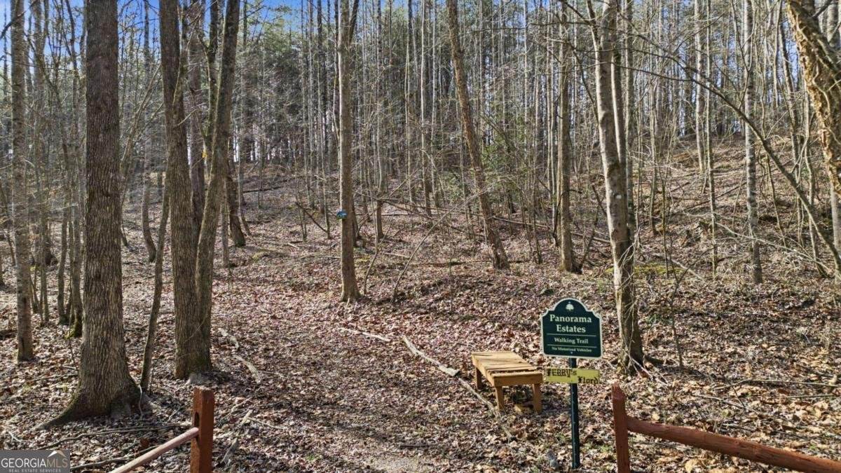 1773 Panorama Drive Sautee Nacoochee - Photo 29