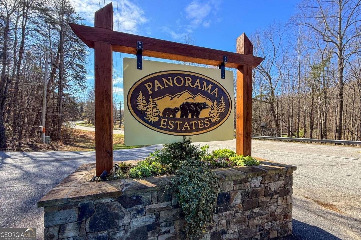 1773 Panorama Drive Sautee Nacoochee - Photo 33