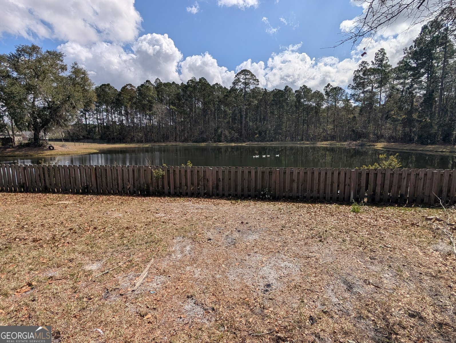 512 Adelante Lane Guyton - Photo 45