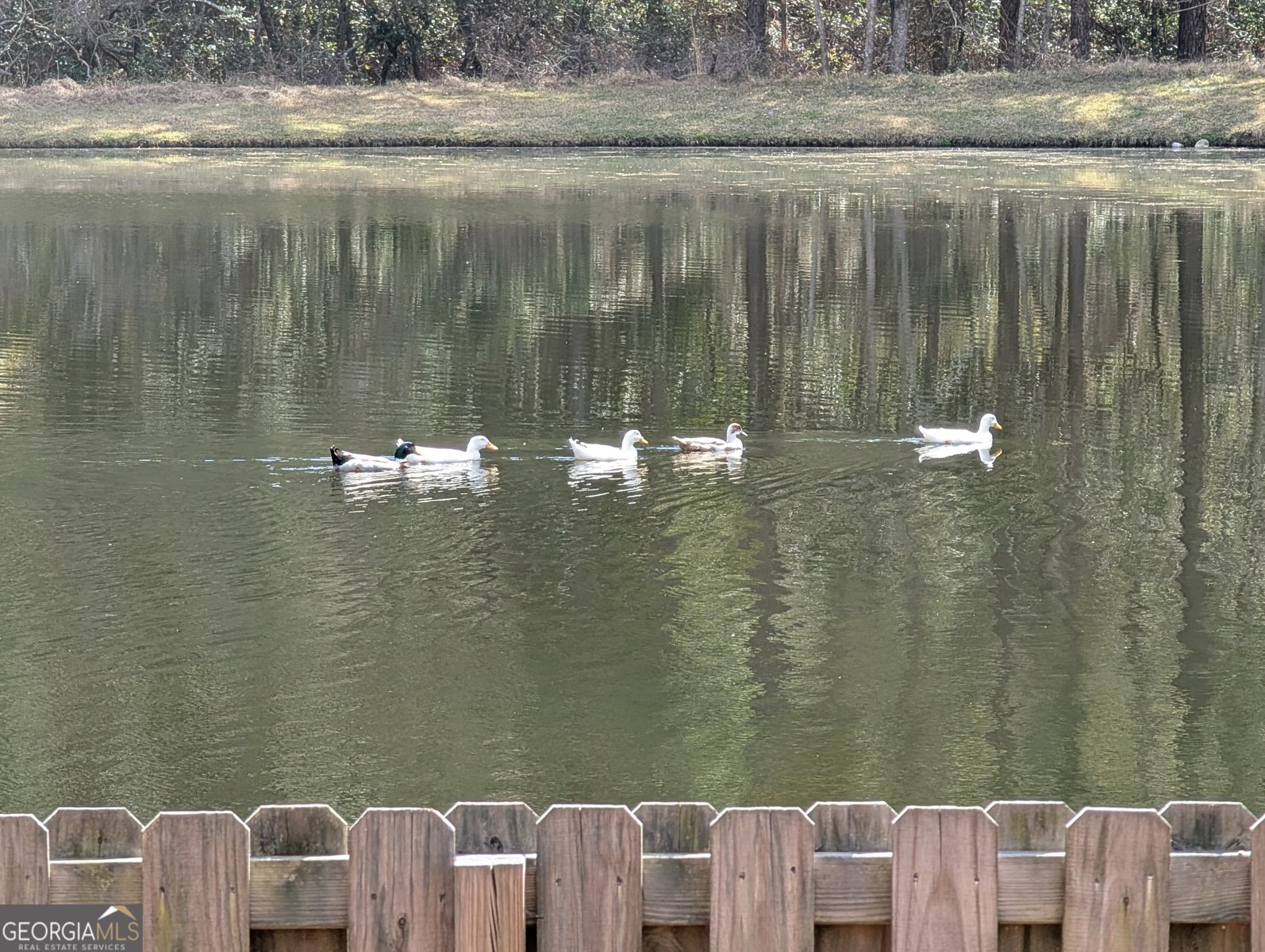 512 Adelante Lane Guyton - Photo 46