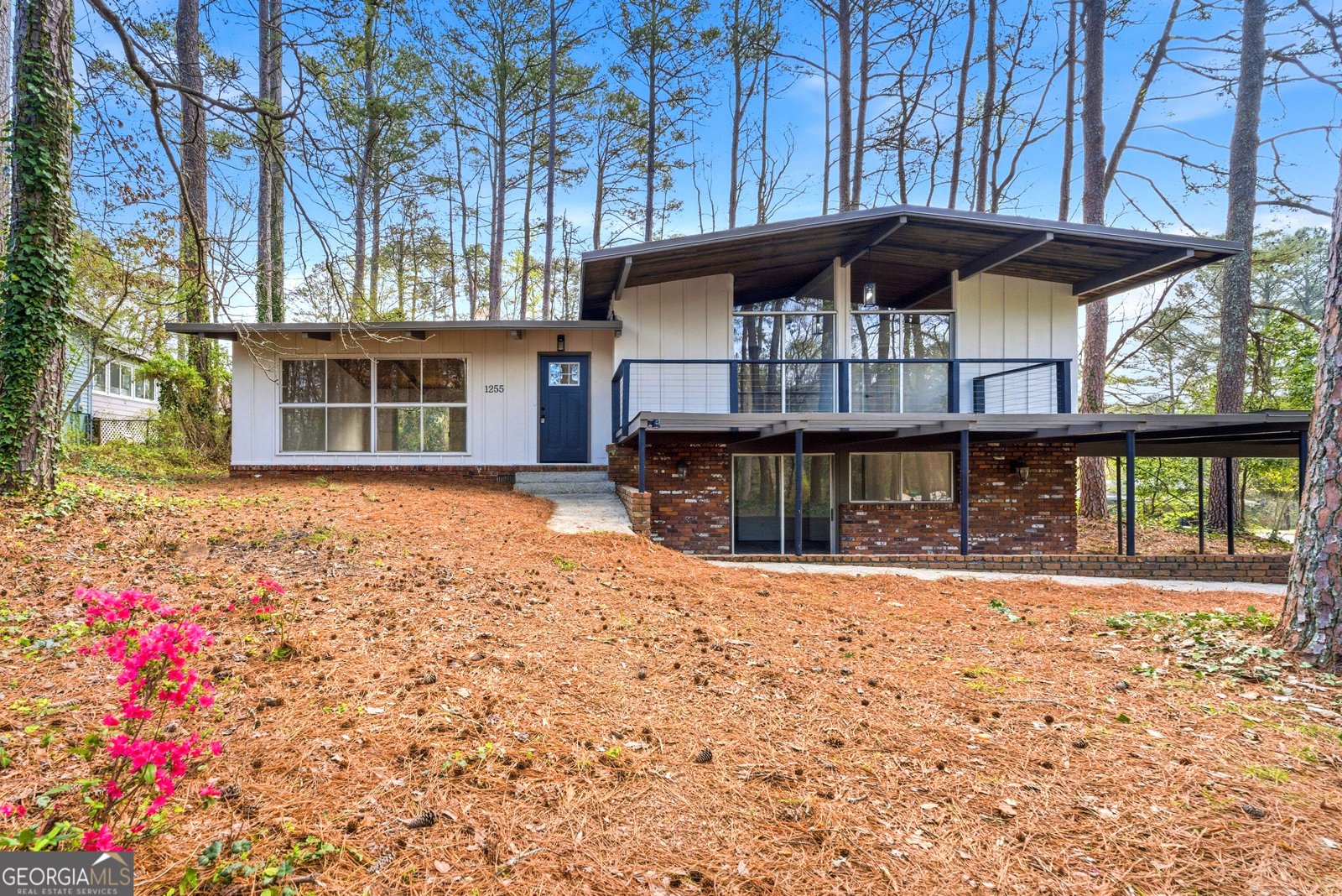 1255 Cedar Park Circle Stone Mountain - Photo 1