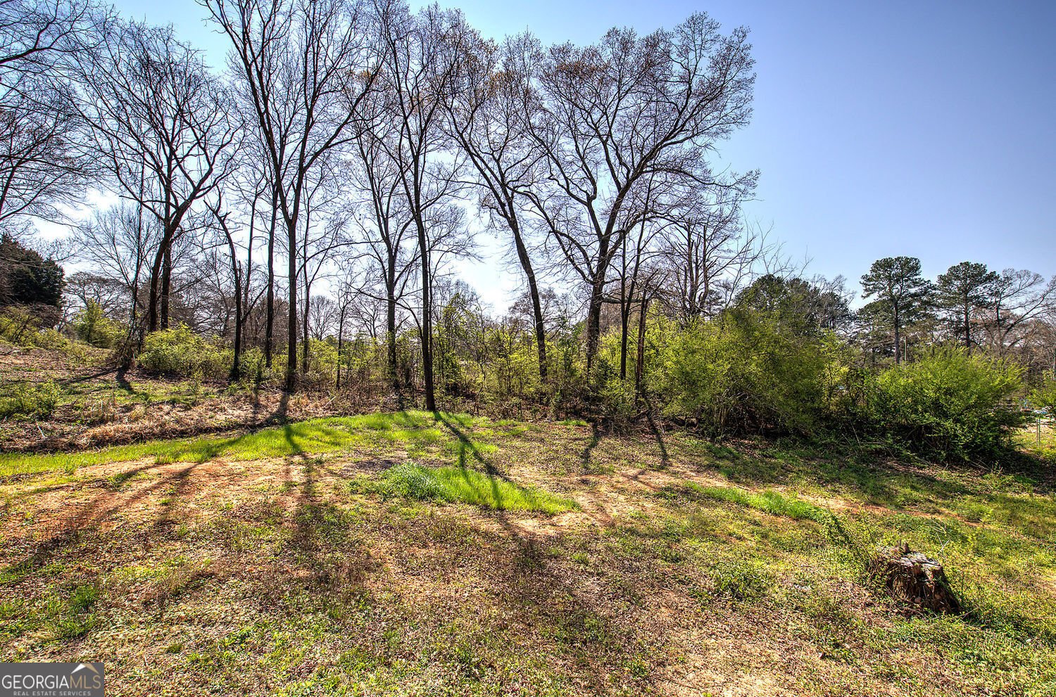 516 Baxter Road Calhoun - Photo 39