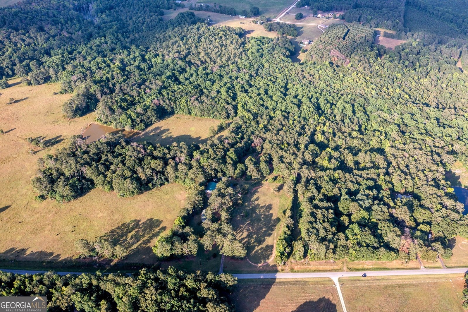 4170 Hollonville Road Williamson - Photo 107