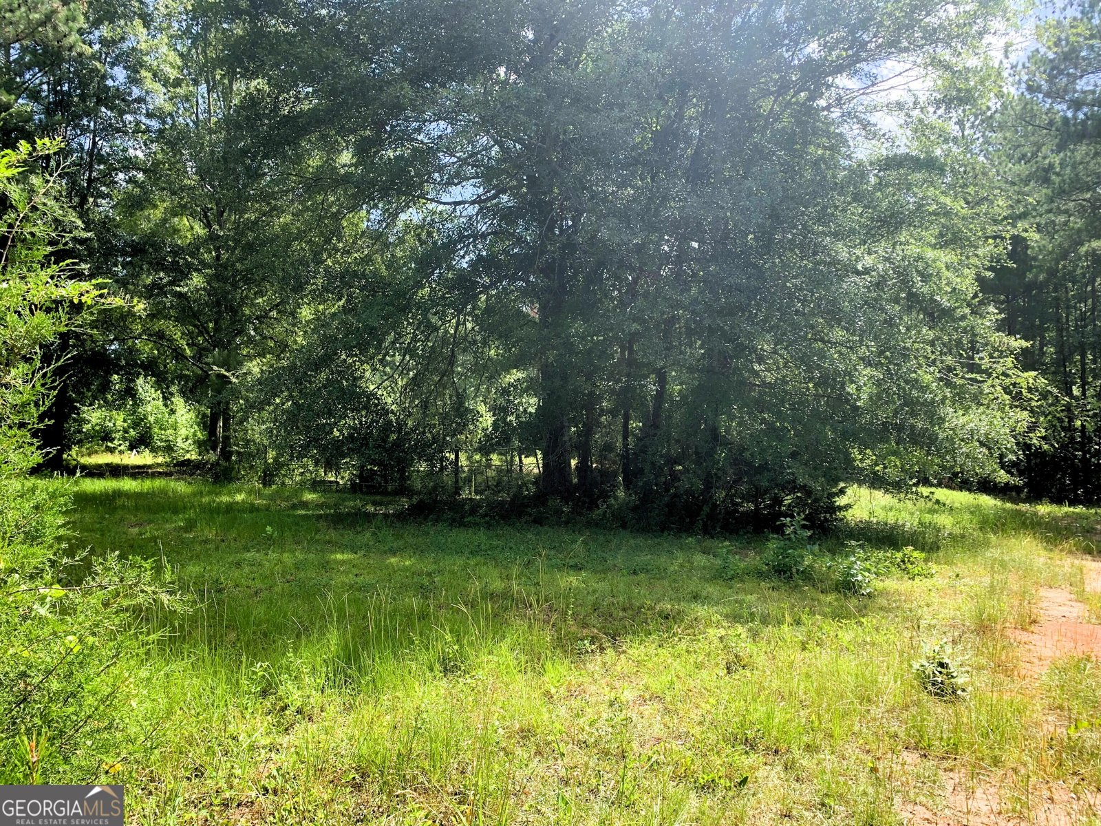 4170 Hollonville Road Williamson - Photo 56