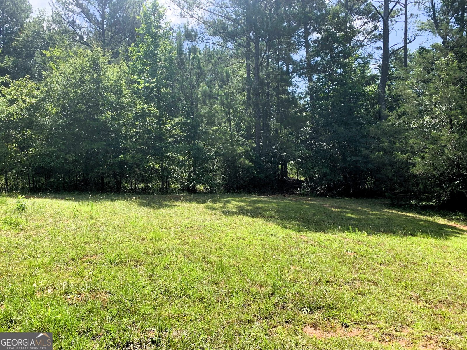 4170 Hollonville Road Williamson - Photo 62