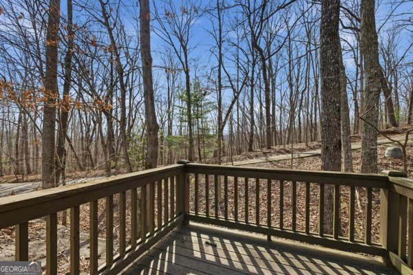 318 Wilmot Fabus Mountain Road Blairsville - Photo 37