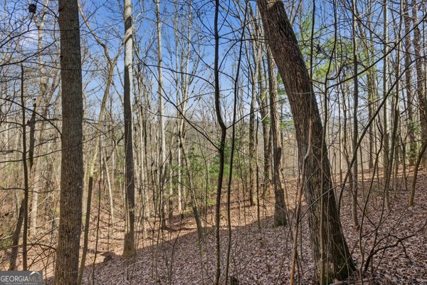 318 Wilmot Fabus Mountain Road Blairsville - Photo 71