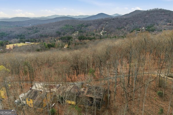 318 Wilmot Fabus Mountain Road Blairsville - Photo 75