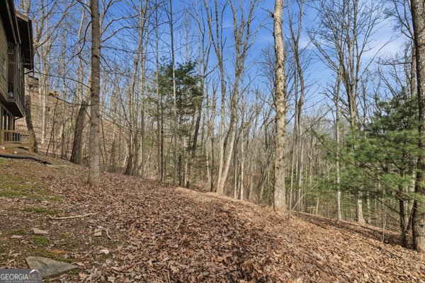 318 Wilmot Fabus Mountain Road Blairsville - Photo 77