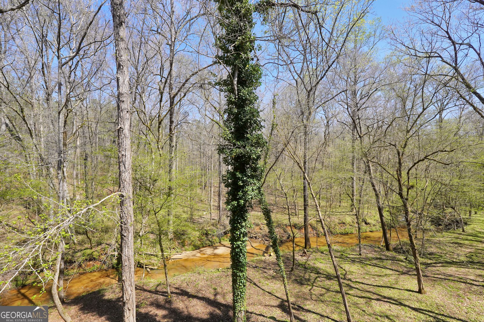 404 Blue Store Road Forsyth - Photo 60