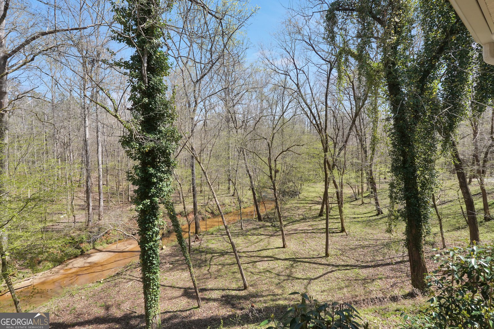 404 Blue Store Road Forsyth - Photo 61