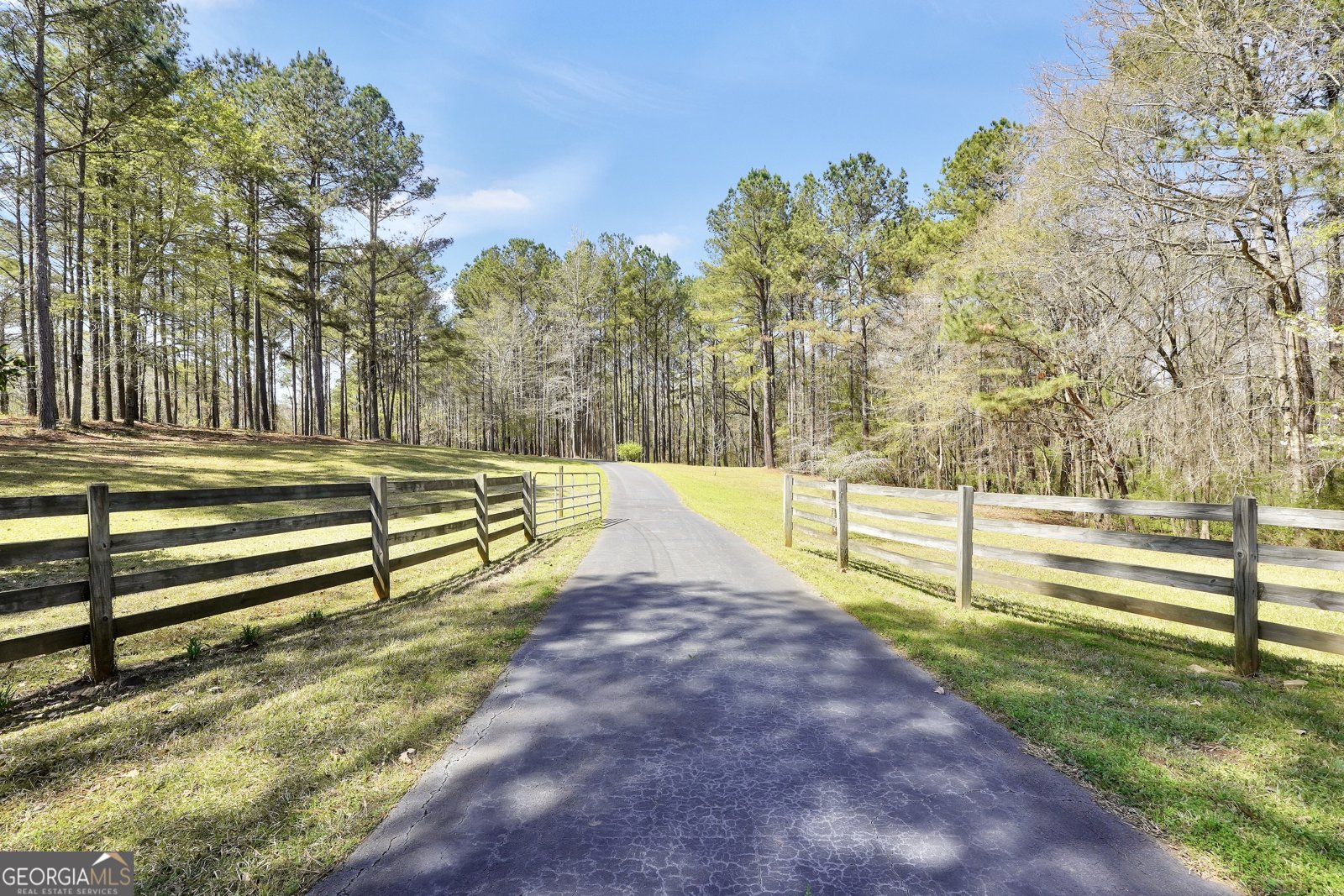 404 Blue Store Road Forsyth - Photo 64