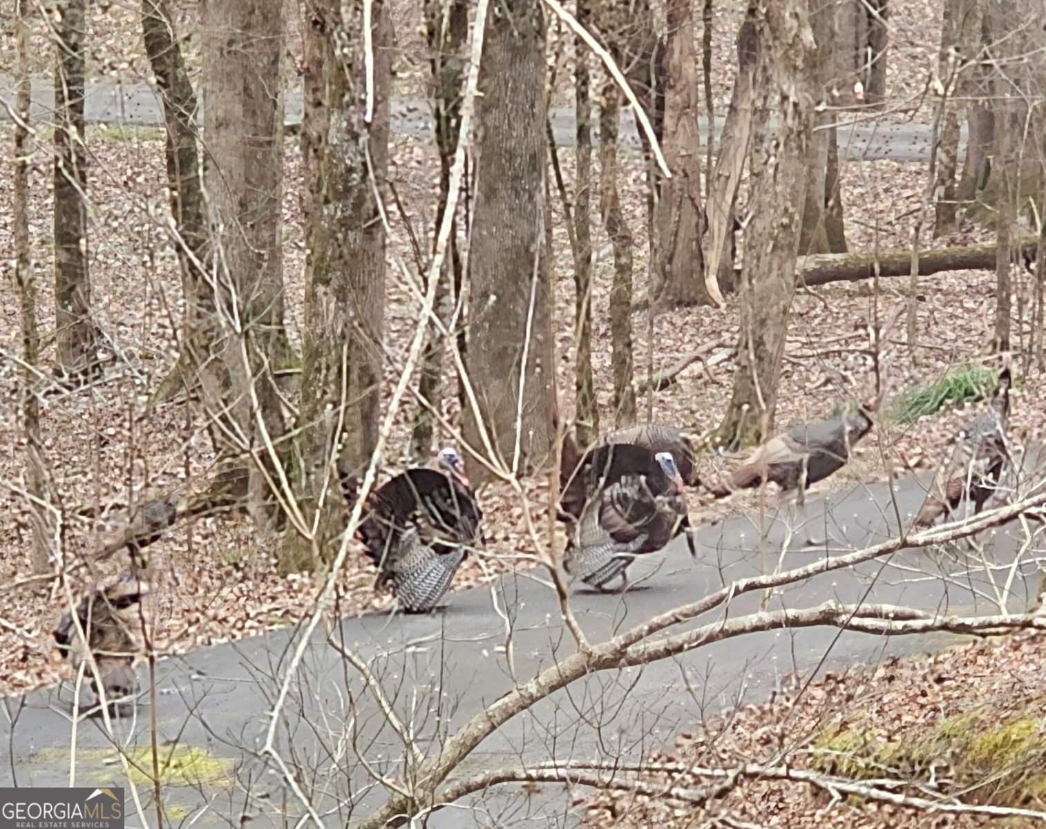 404 Blue Store Road Forsyth - Photo 65