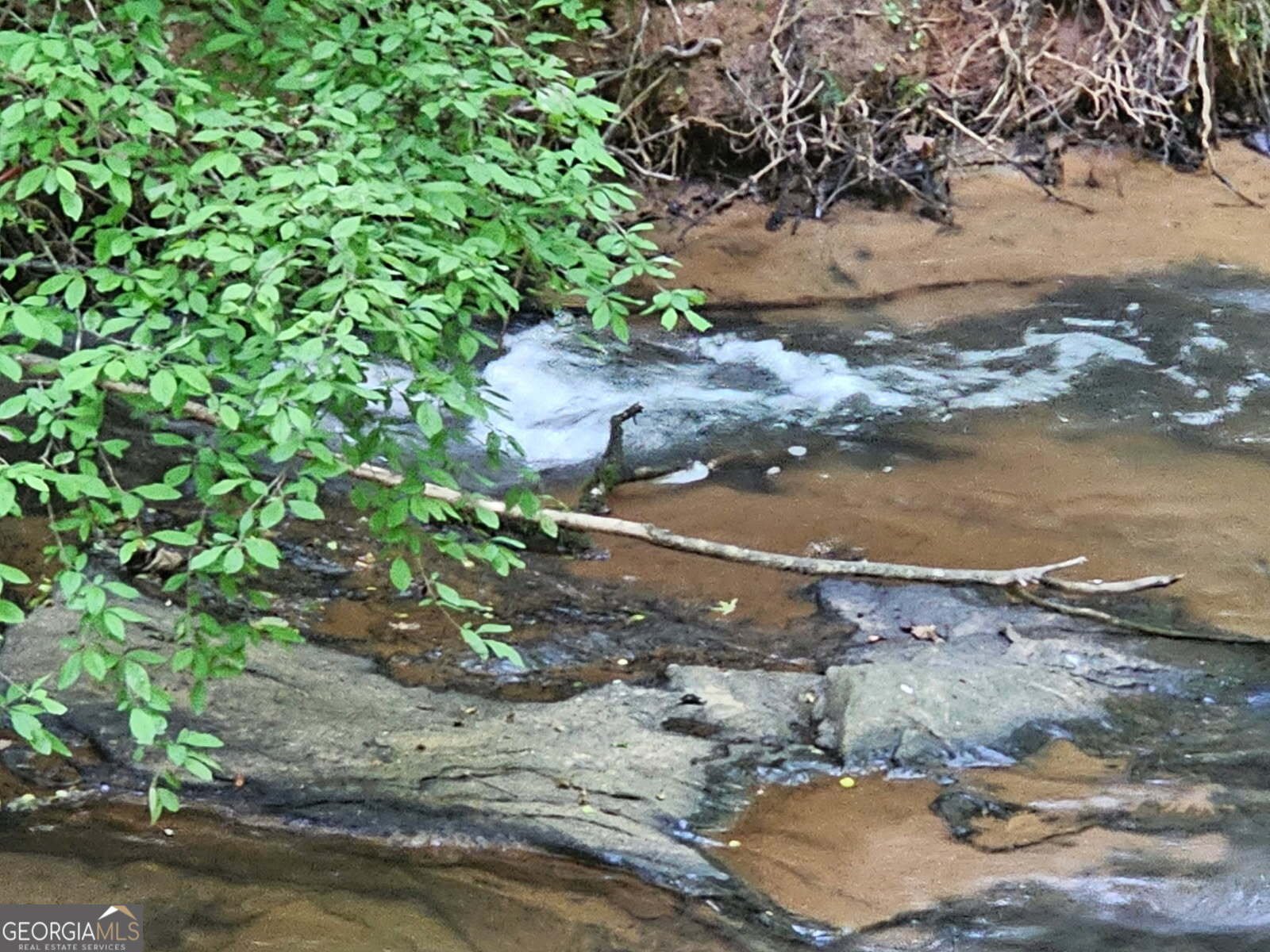 404 Blue Store Road Forsyth - Photo 66