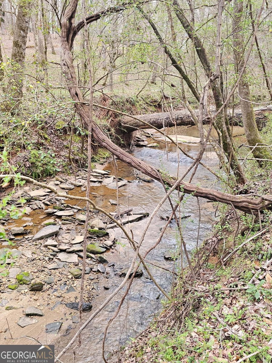 404 Blue Store Road Forsyth - Photo 67