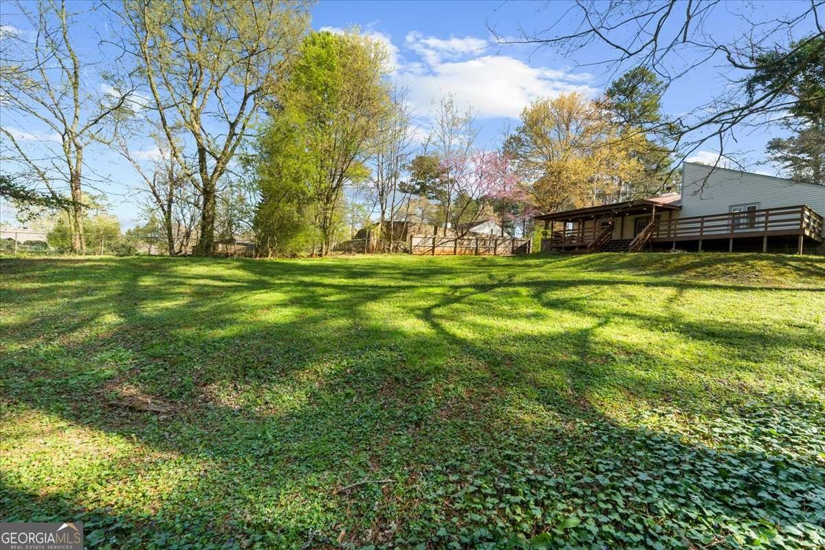 224 Applebranch Drive Woodstock - Photo 44