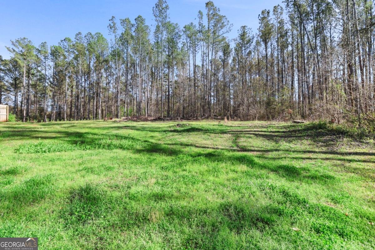 178 Sims Road Hogansville - Photo 14